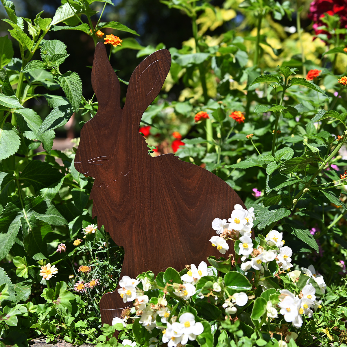 Tiermal Hase | Nussbaum mit Erdanker